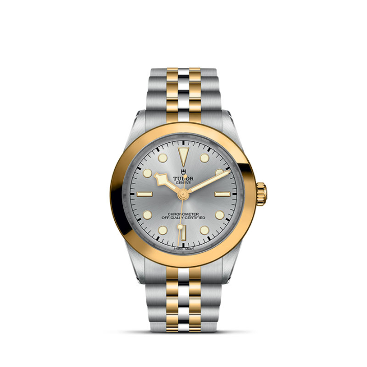 TUDOR, Black Bay 31/36/39/41 S&G