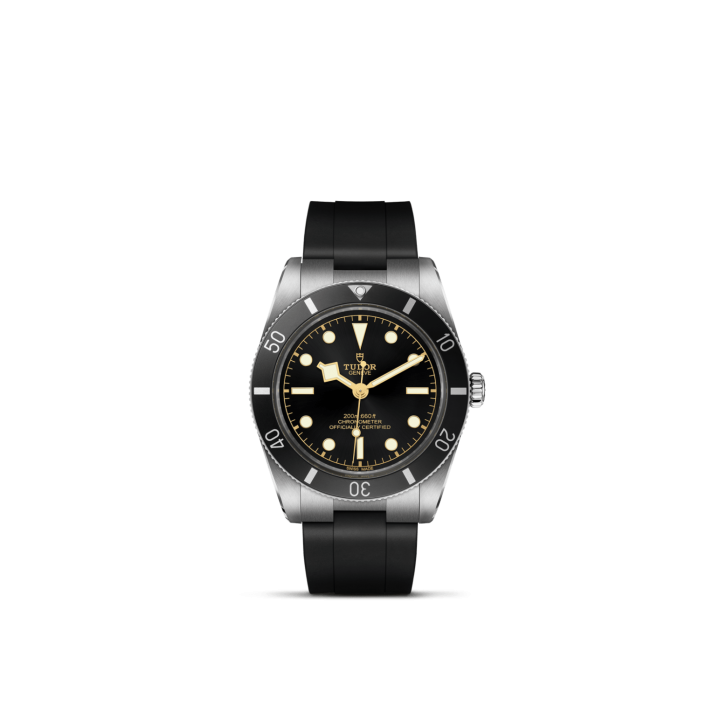 TUDOR, Black Bay 54