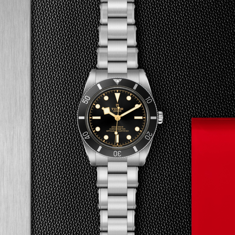 Black Bay 54 m79000n-0001